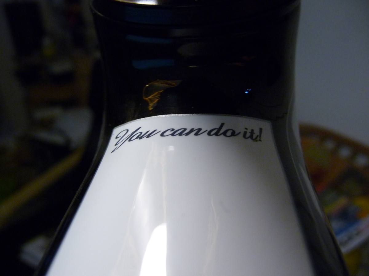 P1000726.jpg